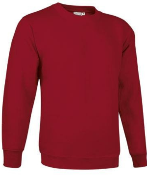 Unisex džemperis "DUBLIN" (yra sandėlyje)