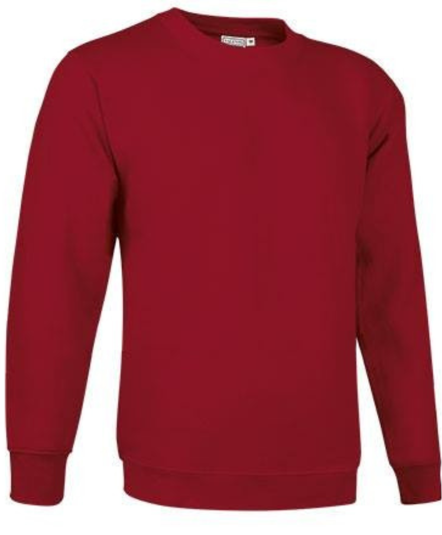 Unisex džemperis "DUBLIN" (ir noliktavā)