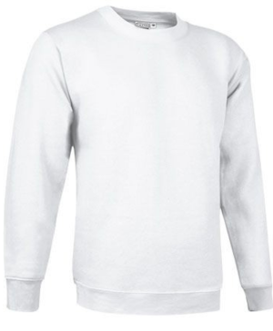 Unisex kampsun "DUBLIN"  (on laos)