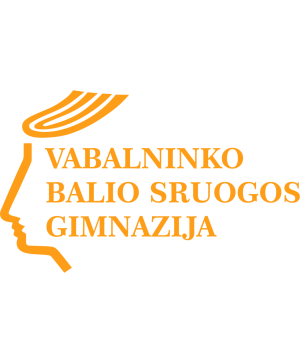 Biržų r. Vabalninko Balio Sruogos gimnazijos džemperis su logo 262/265