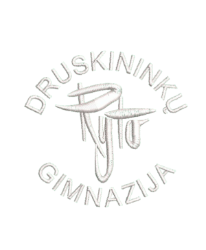 Druskininkų "Ryto" gimnazijos džemperis su logo 262/265