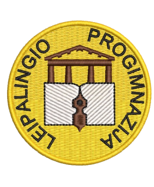 Druskininkų savivaldybės Leipalingio progimnazijos džemperis su logo 262/265